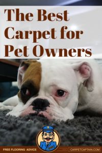 Best Carpet for Pet Owners